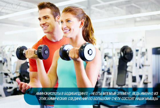 аминокислоты в бодибилдинге