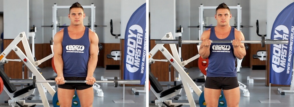 431_Подъемы штанги на бицепс узким хватом_м12.jpg