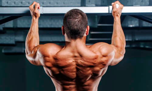 Широчайшие мышцы